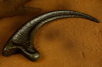 Replik Jurassic Park - Raptor Claw – Bild 3