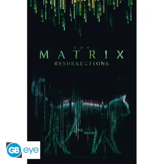 Poster Matrix - The Matrix Resurrections Cat